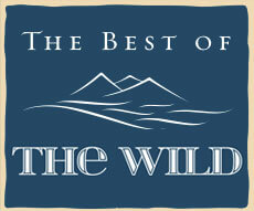 The Best Of The Wild video