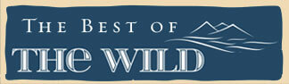 https://thebestofthewild.com/wp-content/uploads/2023/08/TheBestOfTheWild-logo-horizontal.jpg